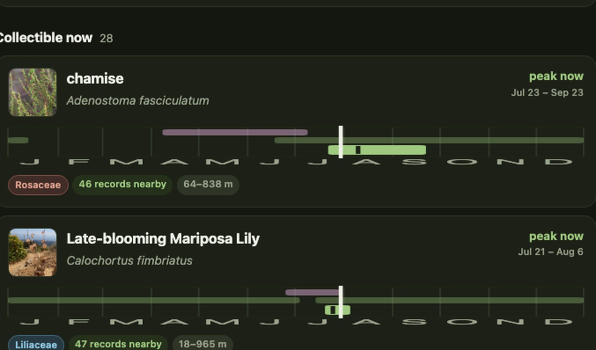 SeedFinder species timelines showing ripe-seed windows