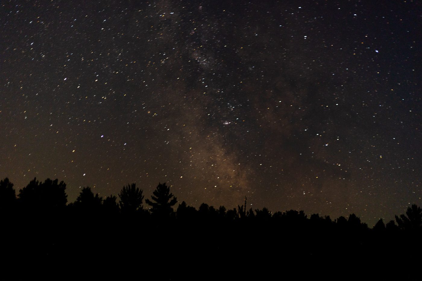 Milky Way over the trees.