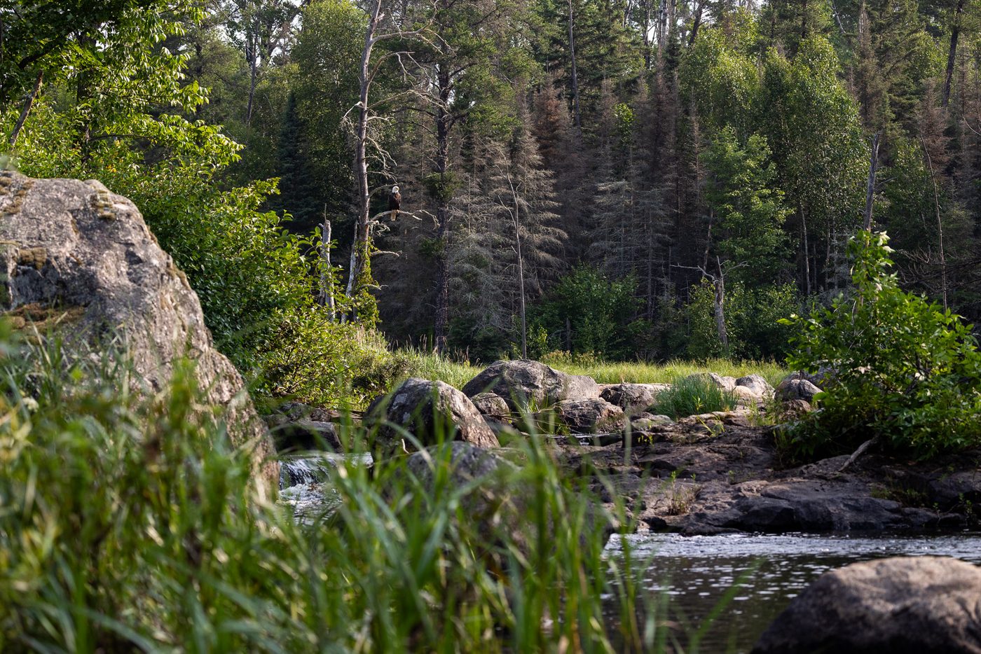 River and rocks.