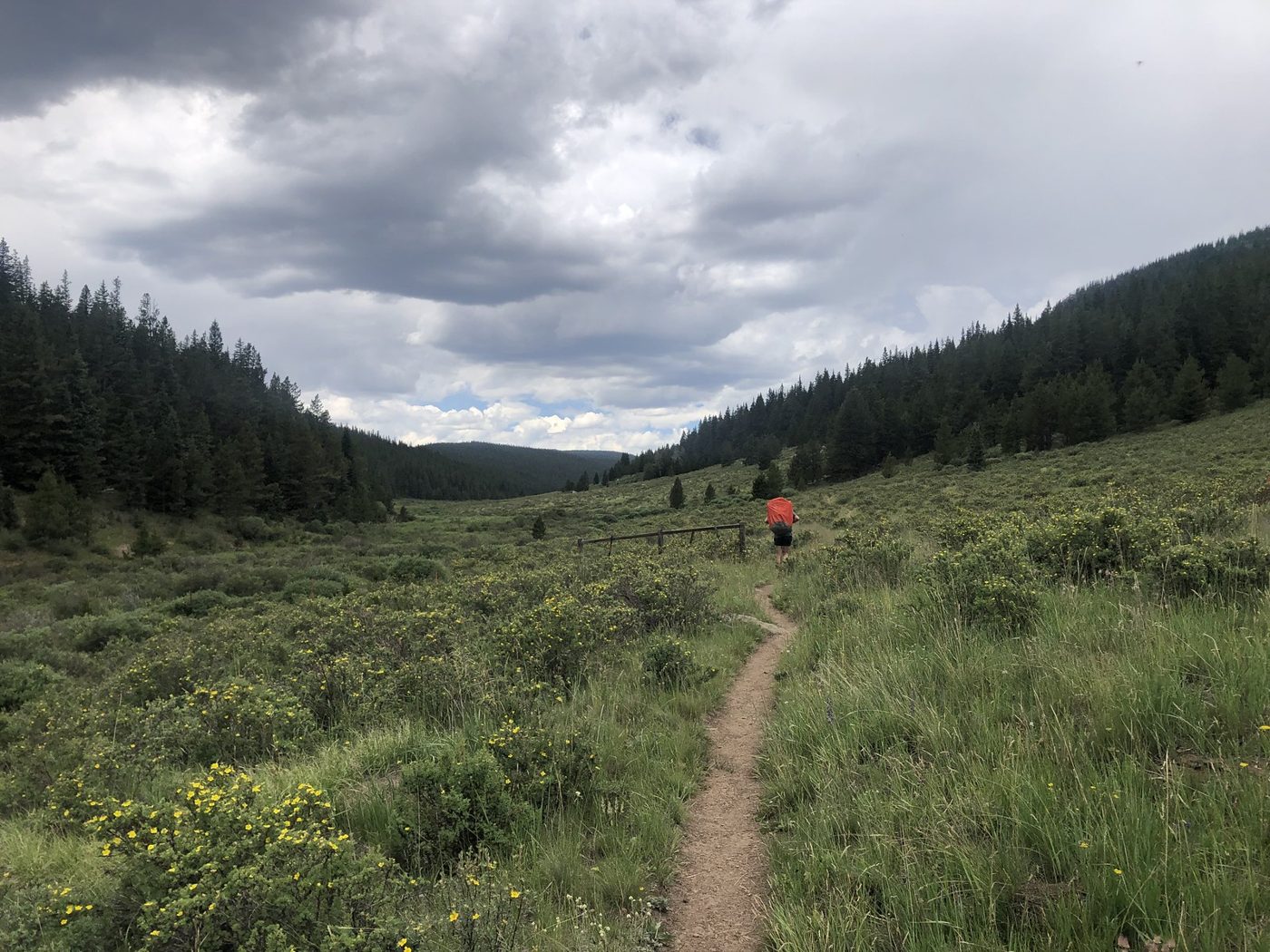 Trail through the meadows.