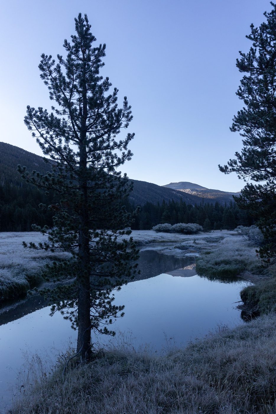 Frosty morning meadow reflection.
