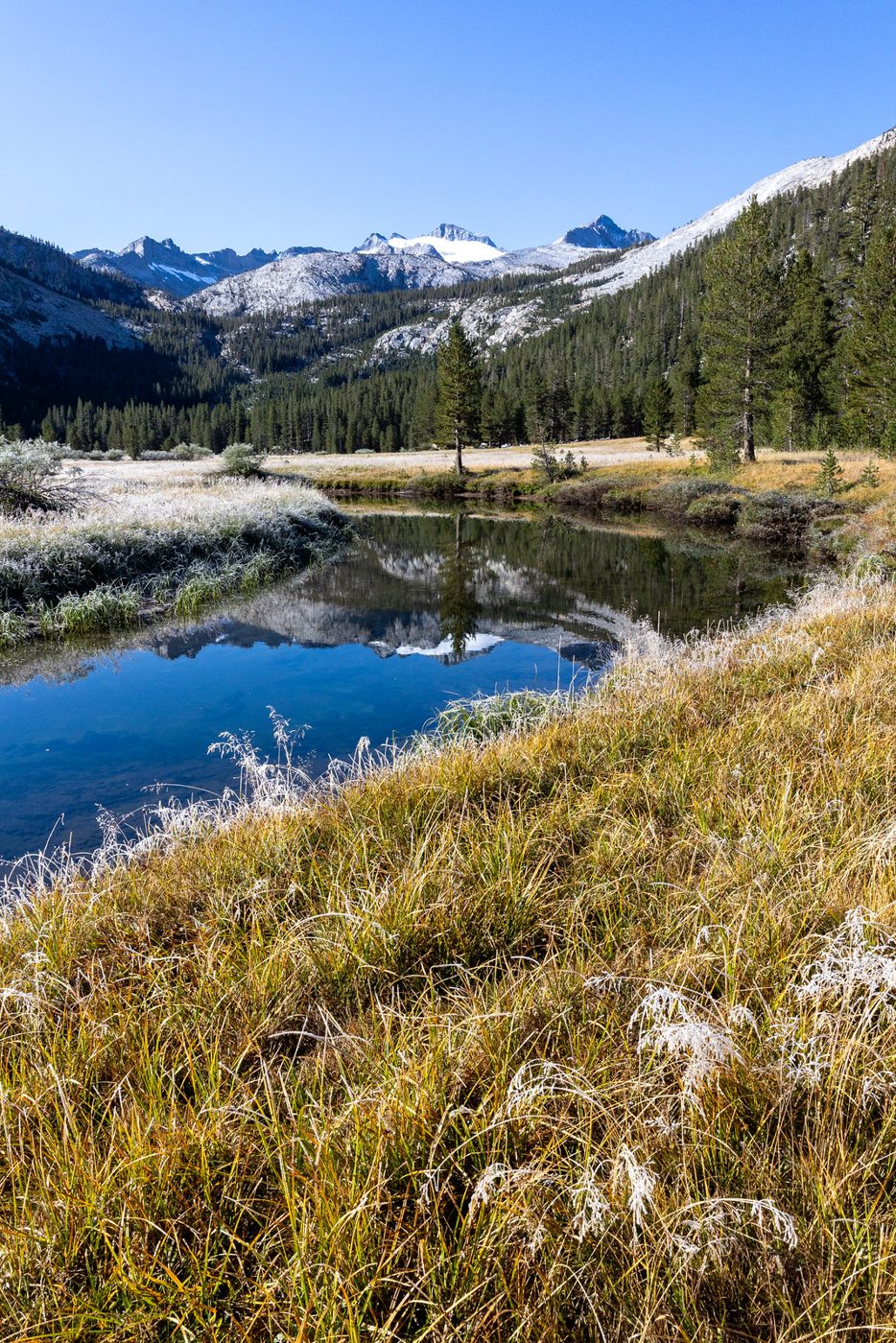 Lyell Fork reflection.