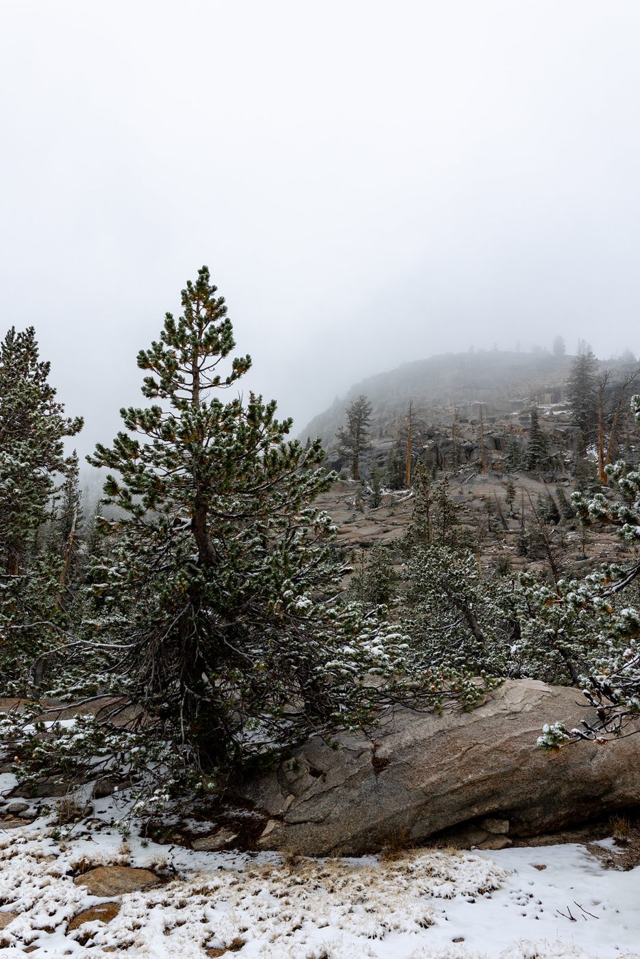 Storm clouds and new snow.
