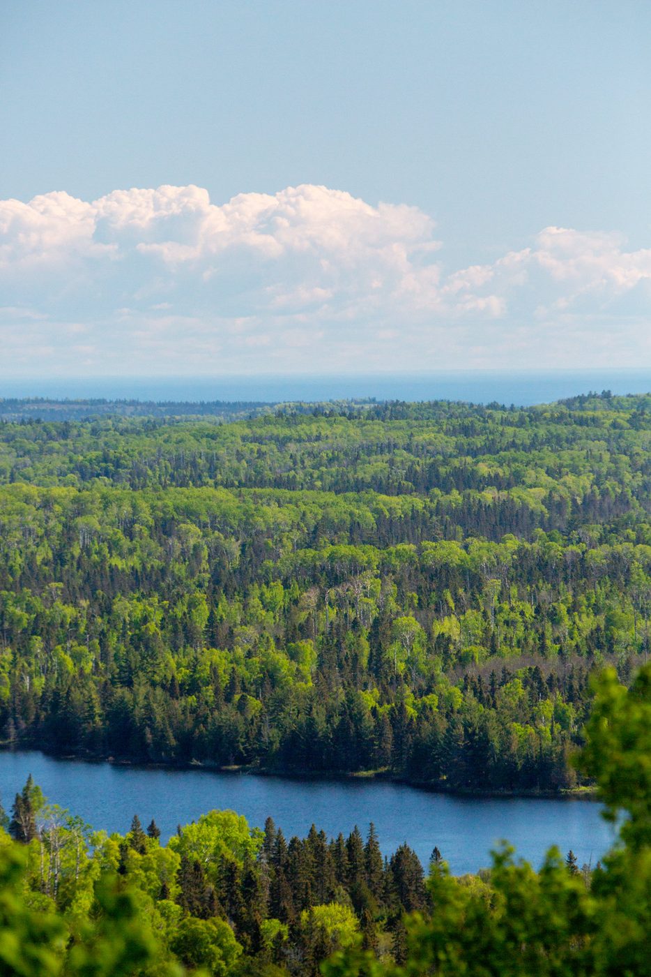 Lake view.