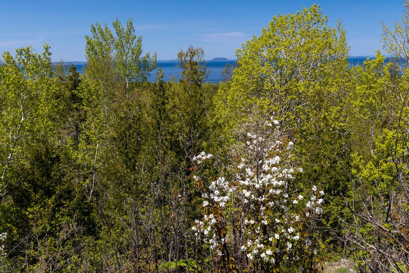 Lake Superior from rock outcrop.