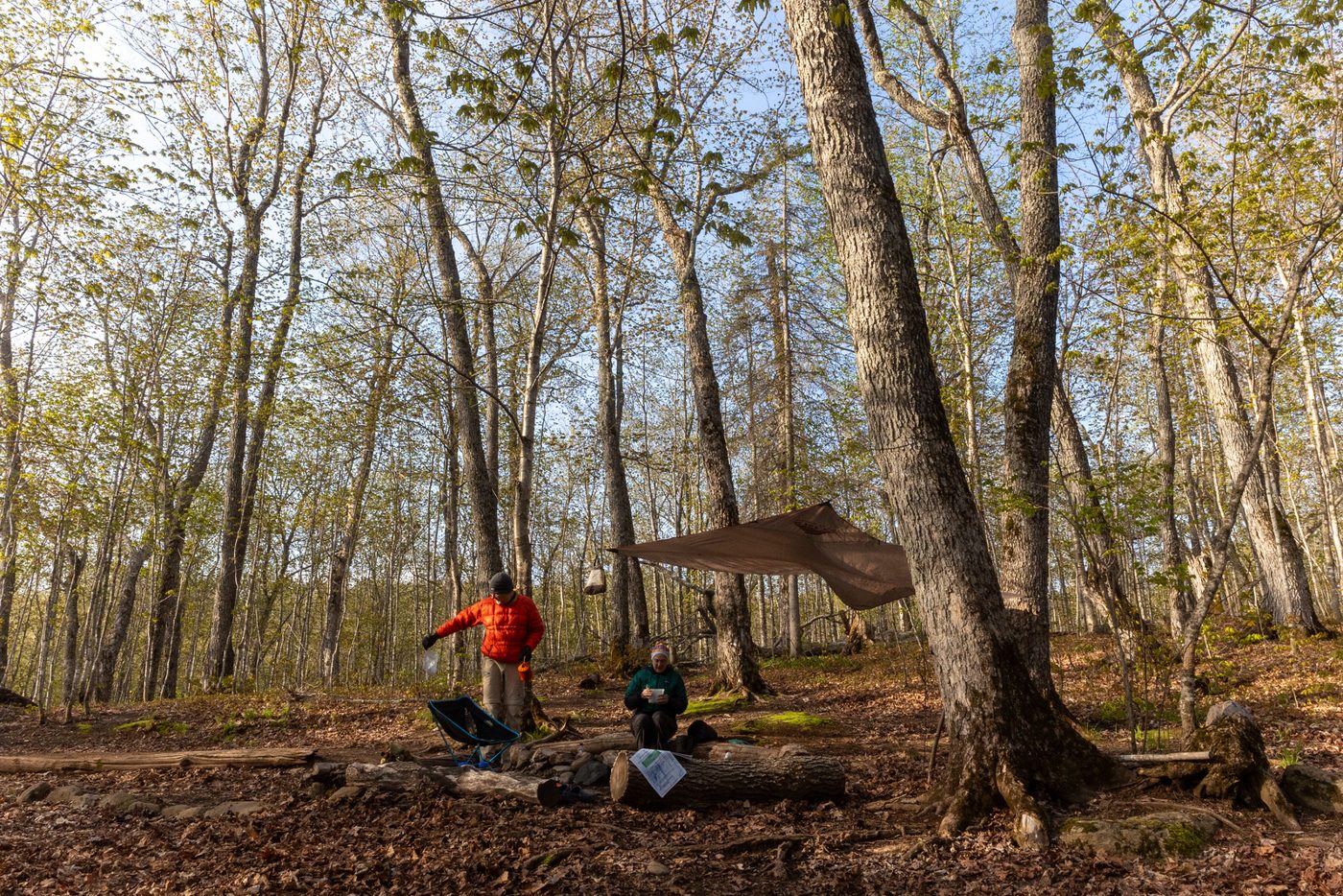 Morning camp in the hardwoods.