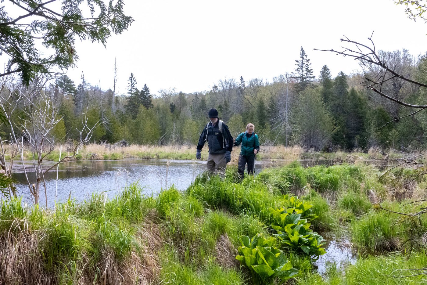 Beaver pond crossing.