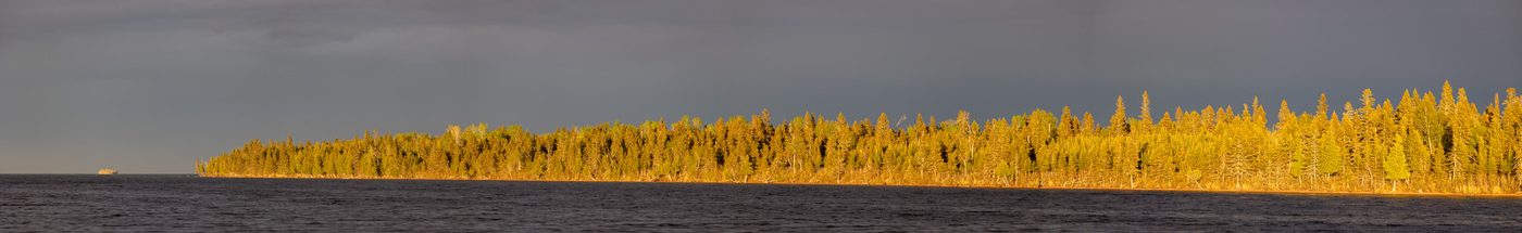 Last light on the shoreline.