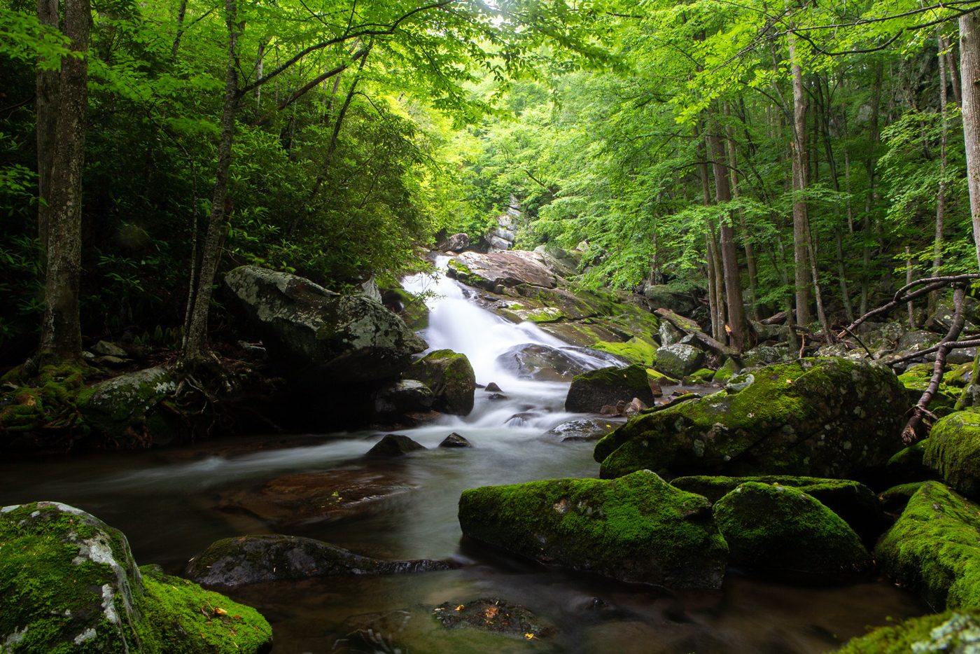 Mossy waterfall.