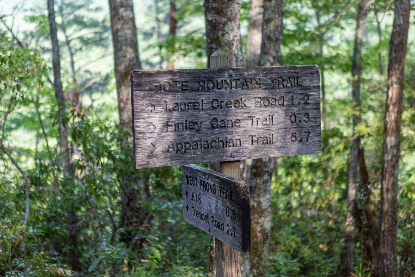 Trail junction sign.